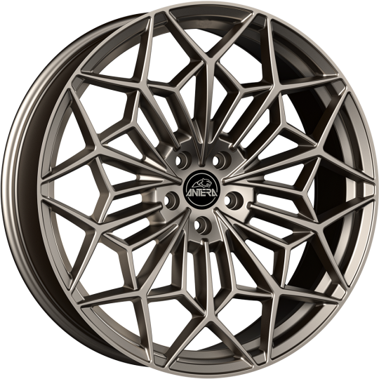 Ratlankiai ANTERA A105 SB 5X112 R20 10,5 ET19