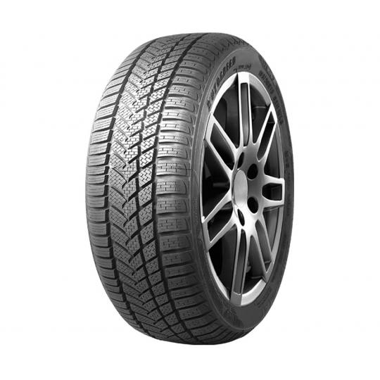 Padangos AUTOGREEN WINTER-MAX A1 WL5 205/50 R17 93 V
