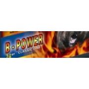 B-Power