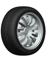 Padangos DOUBLE COIN DC100 225/40 R18 XL DC 92 W