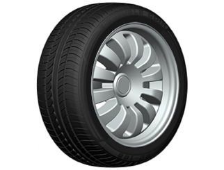 Padangos DOUBLE COIN DC100 225/45 R19 XL DC 96 W