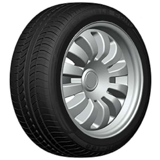 Padangos DOUBLE COIN DC100 245/50 R18 DC 100 W