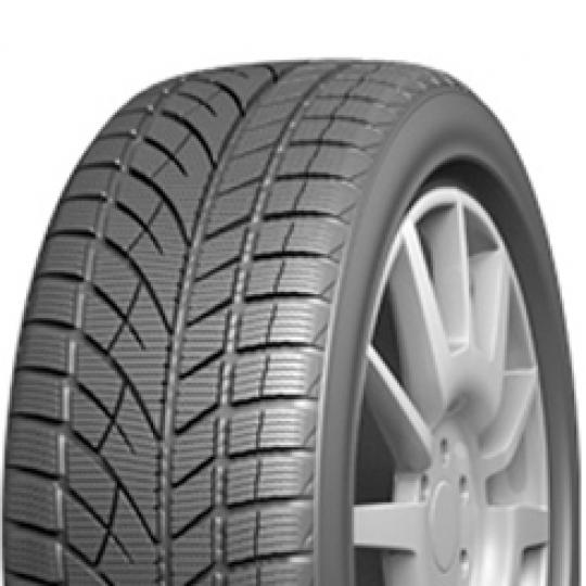 Padangos EVERGREEN EW66 195/65 R15 XL 95 T