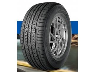 Padangos FARROAD FRC66 275/45 R19 108 V