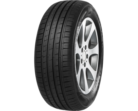 Padangos MINERVA F209 205/65 R15 94 V