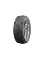 Padangos NANKANG ICE ACTIVA 2 175/65 R14 86 T