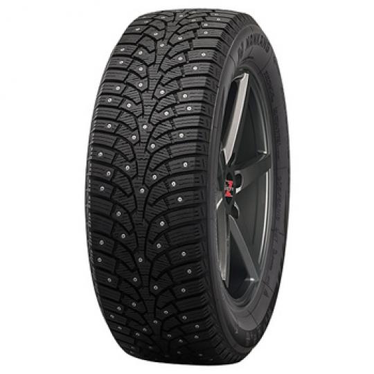 Padangos NANKANG SW-9 205/55 R16 XL 94 T
