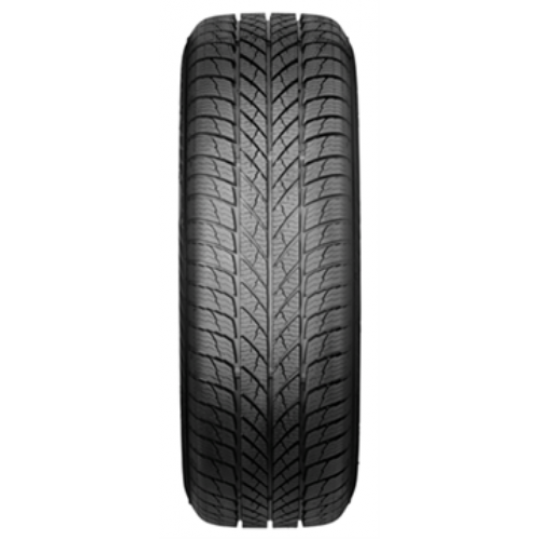 Padangos PAXARO INVERNO 225/45 R18 XL FR 95 V