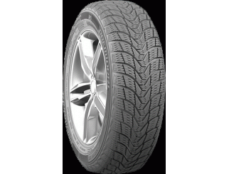 Padangos PREMIORRI VIAMAGGIORE 195/65 R15 91 T