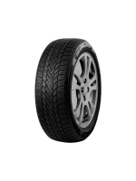 Padangos ROADMARCH WINTERO 888 175/70 R13 82 T