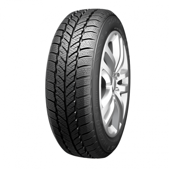 Padangos ROADX RX FROST WH01 205/60 R16 XL 96 H