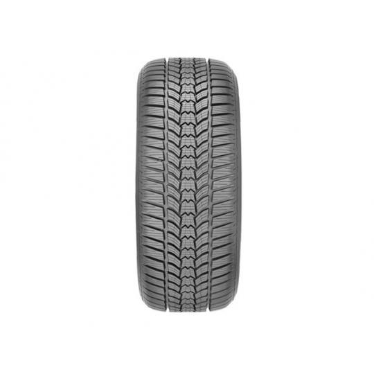 Padangos Sava Eskimo HP2 205/55 R16 91H